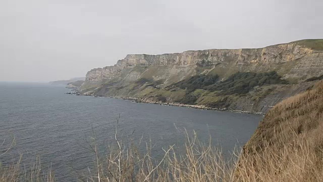 悬崖和海岸基默里奇湾多塞特鲁沃斯湾东部侏罗纪海岸线英格兰英国视频素材