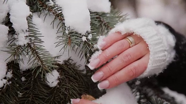 美丽的女孩触摸云杉树枝上的雪视频素材