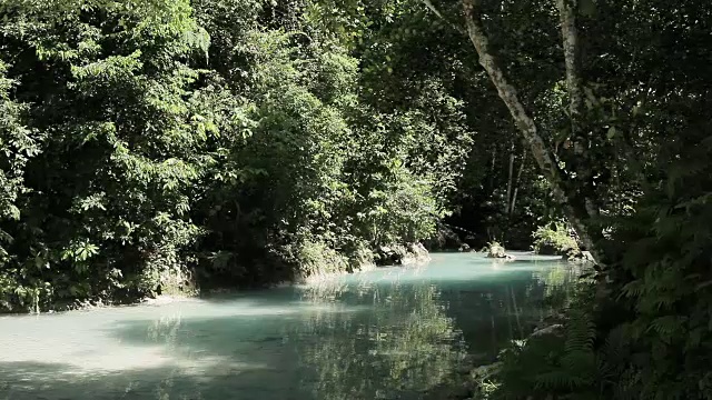 安静的河流在森林中流淌视频下载