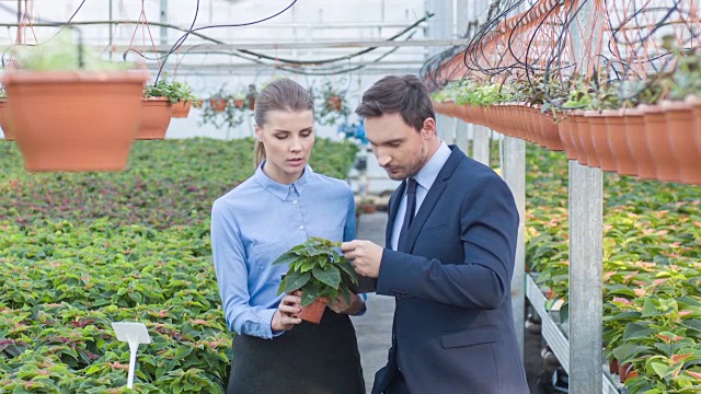 商人们正在检查种植的植物视频素材