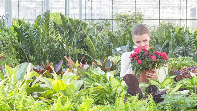 花匠喜欢他们照料的植物视频素材