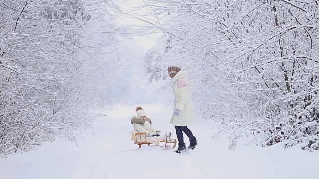 妈妈宝宝在雪橇上滚动视频素材