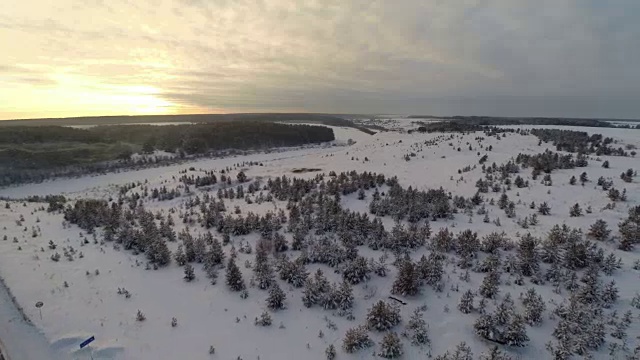 鸟瞰图。日落黄昏。森林森林景观视频素材