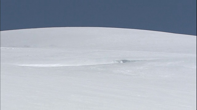 从加拿大落基山脉上的登山者身上往后拉视频素材