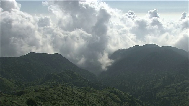 日本鹿儿岛屋久岛视频素材