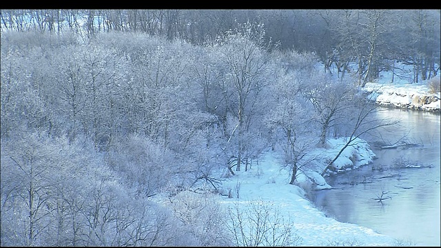 树木和被厚厚的积雪覆盖的河岸，钏路湿地，北海道视频素材