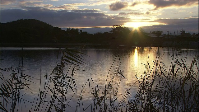 夕阳倒映在波光粼粼的湖面上，前景是芦苇的剪影视频素材