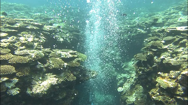 当潜水员在探索珊瑚礁时，气泡上升到水面，倾斜向下，日本北海道知床，潜水镜头视频素材