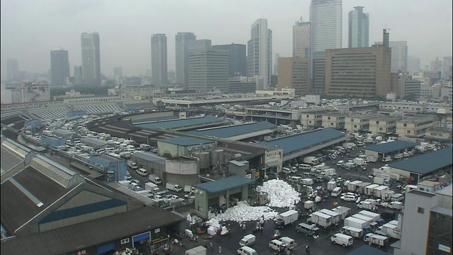 从多云的天空向下倾斜到筑地鱼市视频素材