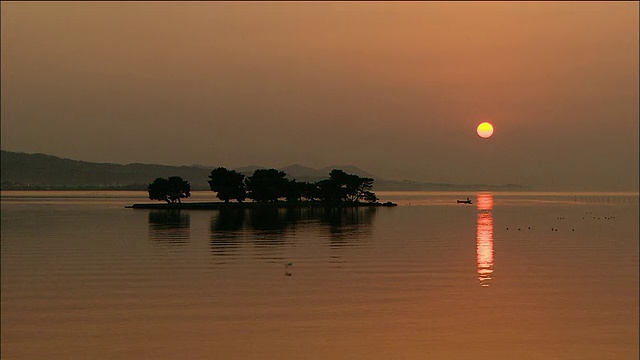 日本岛根县，夕阳西下，真嗣湖上的树木剪影视频素材