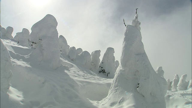 潘把冰冻的树(“冰怪”)留在雪坡上视频素材