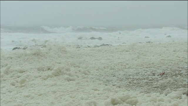 被称为“海浪之花”的泡沫被吹过海滩视频素材