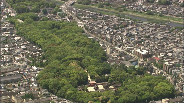 在日本京都，森林环绕着上加茂神社，整个城市向外延伸。视频素材