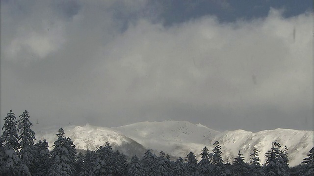 北海道大濑山火山群的冬季视频素材