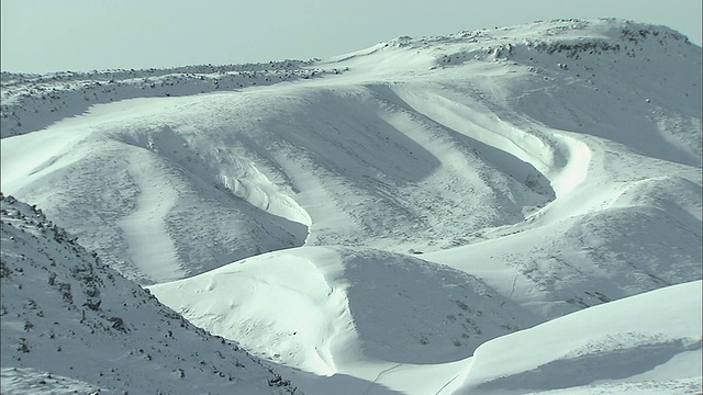 北海道冬季雪场-大榭山火山群视频素材