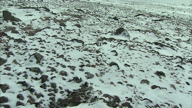 北海道大濑山火山群的冬季视频素材