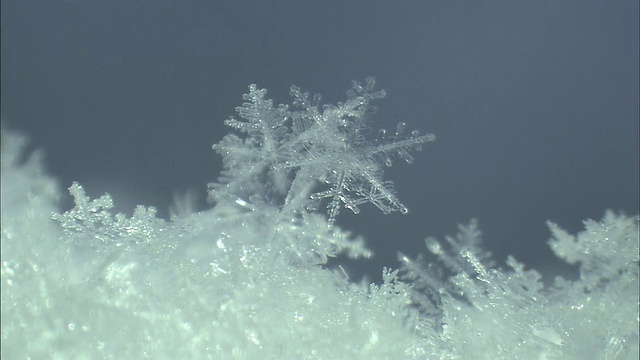 北海道大雪山火山群冬天的雪花视频素材