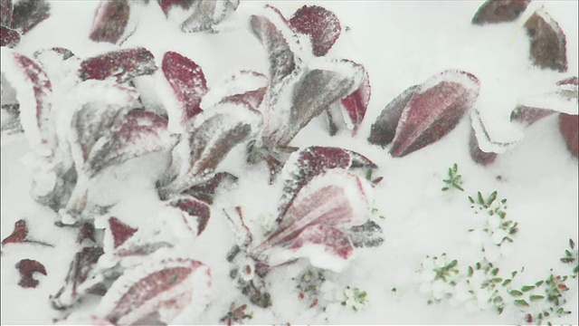 冬天，北海道大雪山火山群秋雪飘落视频素材