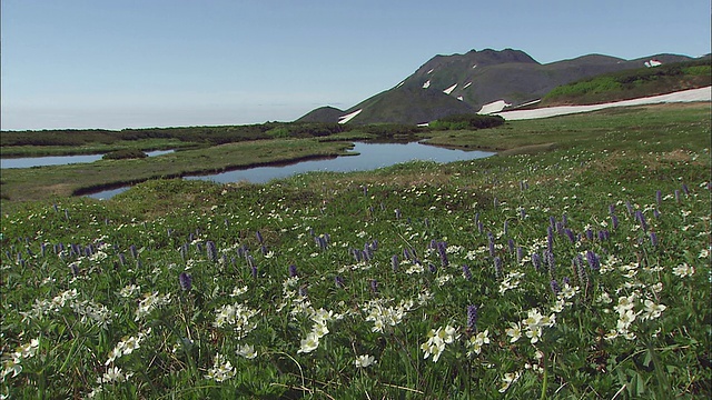 北海道花大雪山火山群视频素材