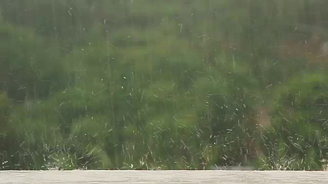 热带雨视频下载