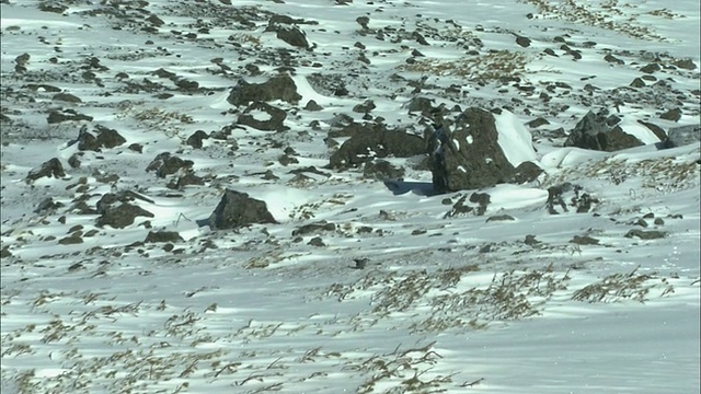 北海道大辅suzan火山群视频素材