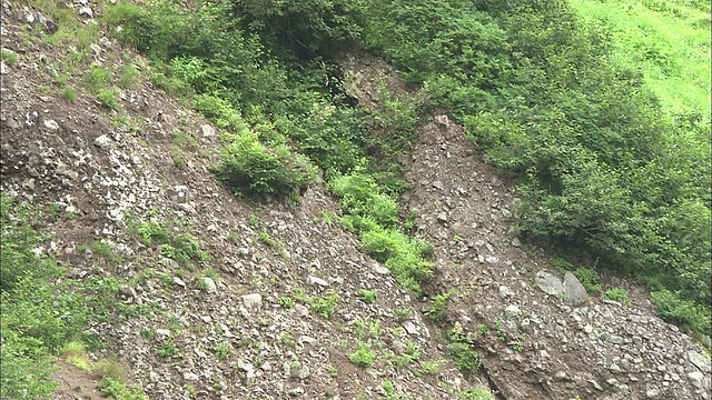 北海道大舍山火山群视频素材