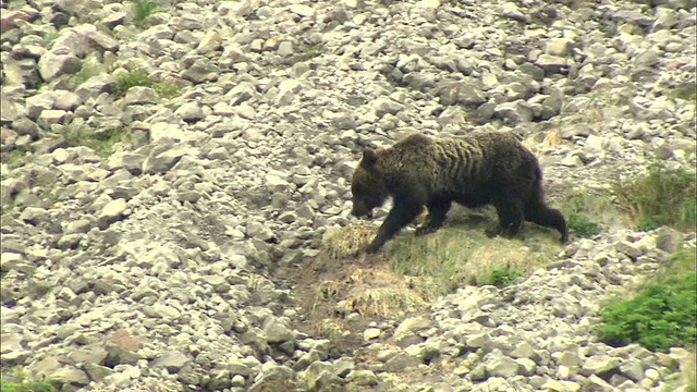 北海道大舍山火山群视频素材