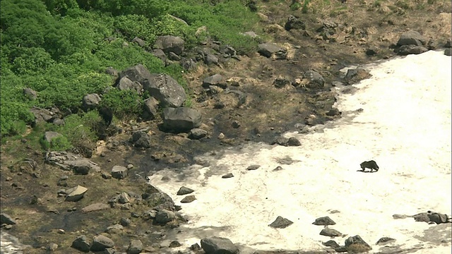 北海道大舍山火山群视频素材