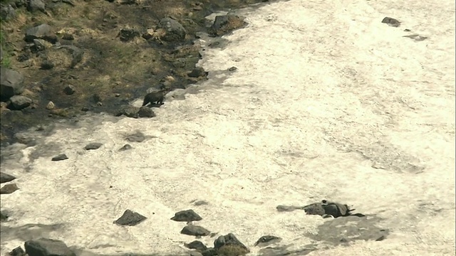 北海道大舍山火山群视频素材