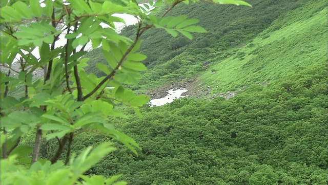 北海道大舍山火山群视频素材