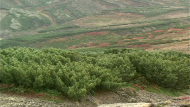 北海道大舍山火山群视频素材