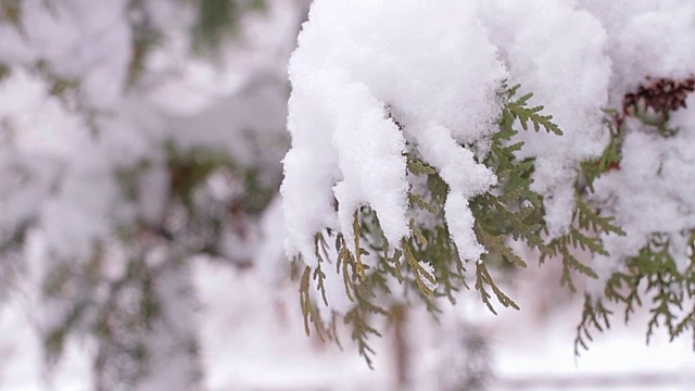 下雪的冬天。新年好精神。视频素材