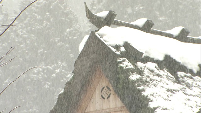 雪落在茅草屋顶的房子上。视频素材