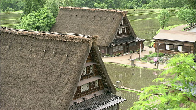 陡峭的茅草屋顶占据了日本白川古村和戈山古村。视频素材