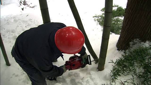 一个工人在雪中砍竹子，以便制作木炭。视频素材