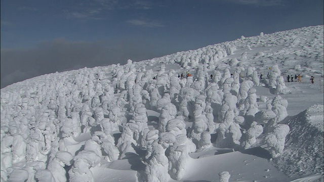 雪中温泉视频素材