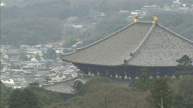 掷鹿大赛/若久草山视频素材