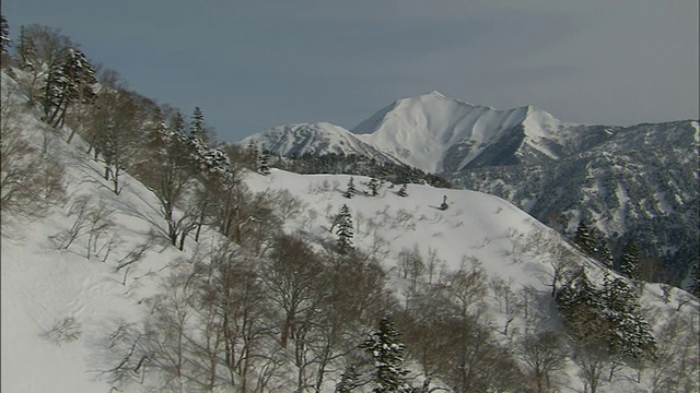 冬天光秃秃的树木点缀着白雪覆盖的山坡。视频素材