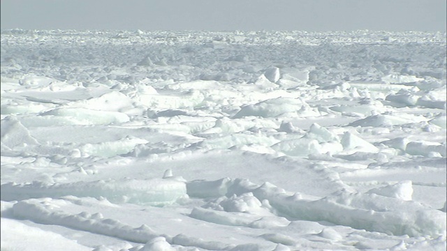 浮冰北海道视频素材