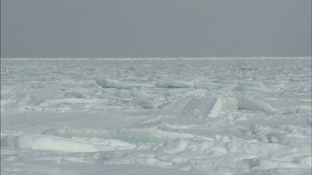 浮冰视频素材