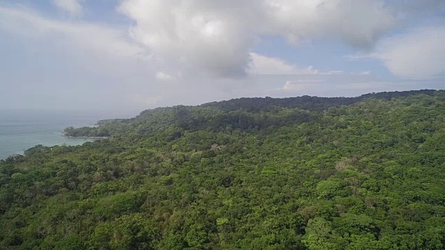 港鸟瞰图Jiménez海岸线在哥斯达黎加视频下载