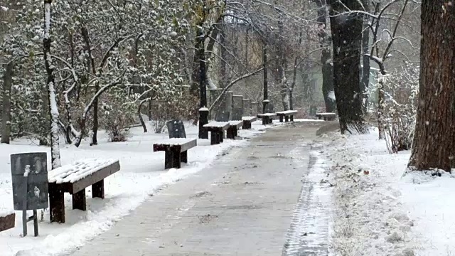 降雪。视频素材