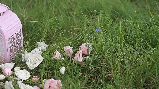 花束和花瓣躺在绿色的草地上视频素材