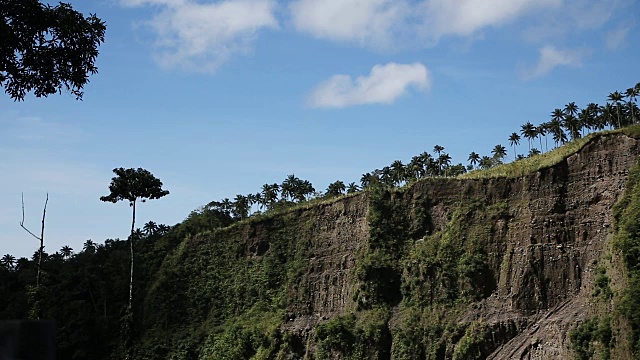 风景与椰子树和山脉视频素材