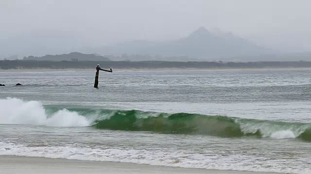 阴天的海浪视频下载