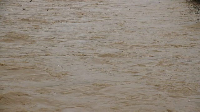 泥泞的河流，雨燕飞舞视频素材