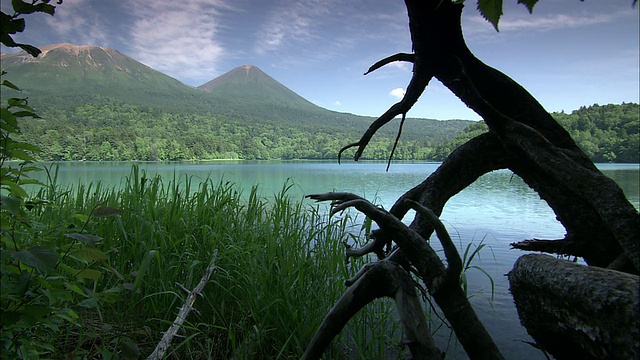 Onnneto湖和沼泽Ashoro-cho, Akan国家公园，北海道视频素材