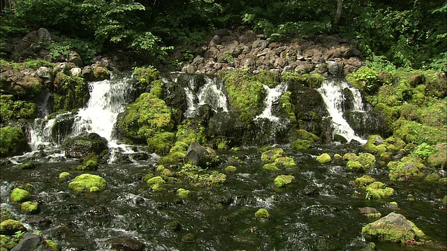 北海道恭果町优质泉水视频素材