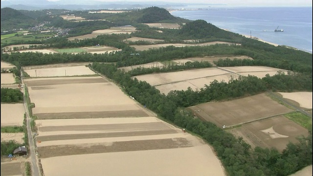 在日本海沿岸的鸟取沙丘附近，树篱分隔了田地。空中拍摄视频素材