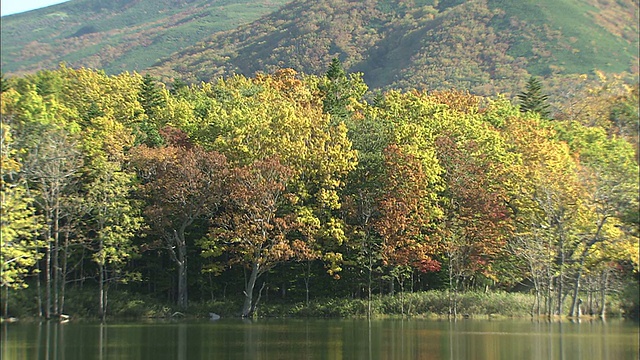 从倒映在湖中的秋叶向硫磺山倾斜视频素材